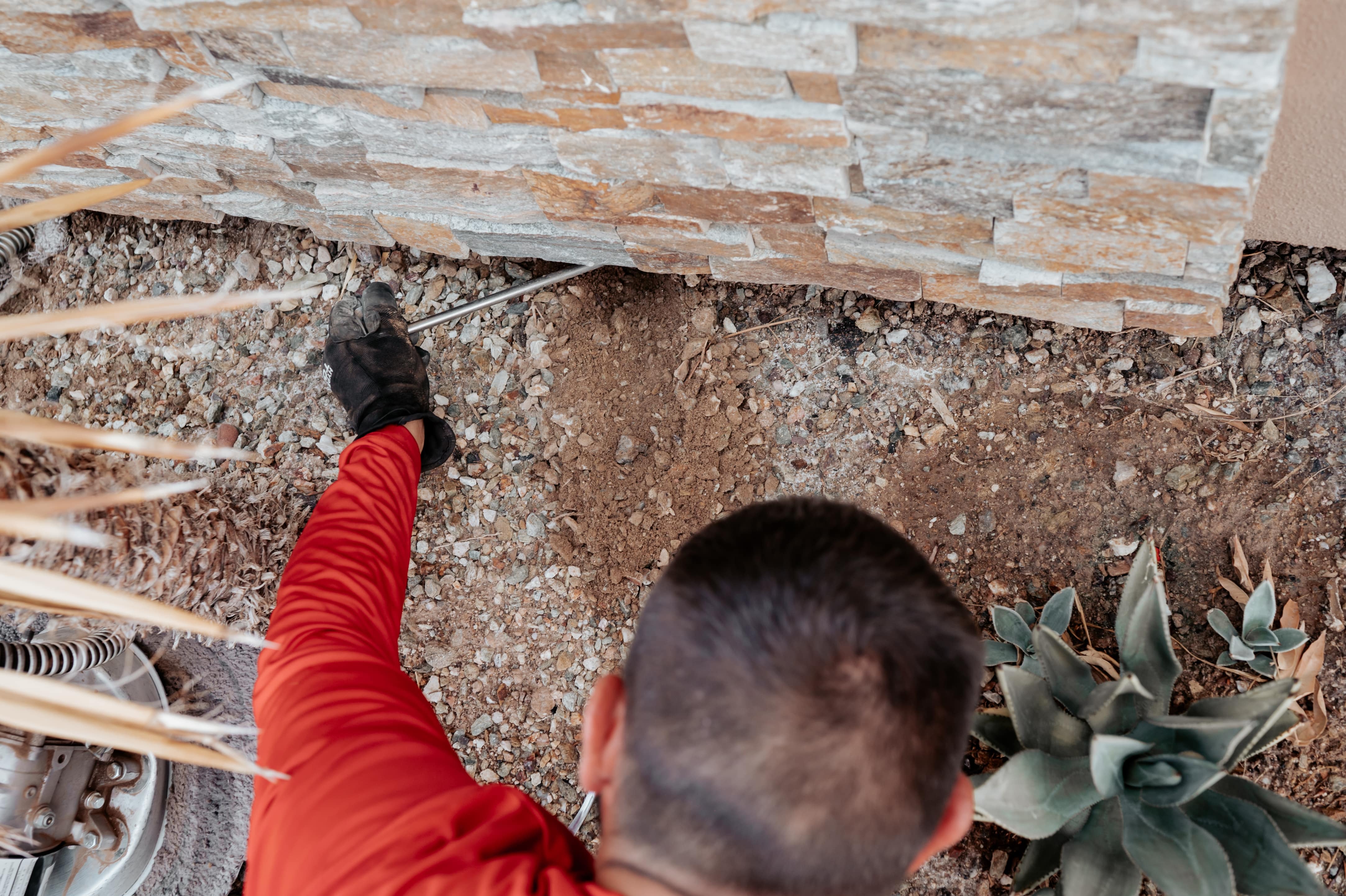 Person in red jacket examining rocky ground with scattered plants