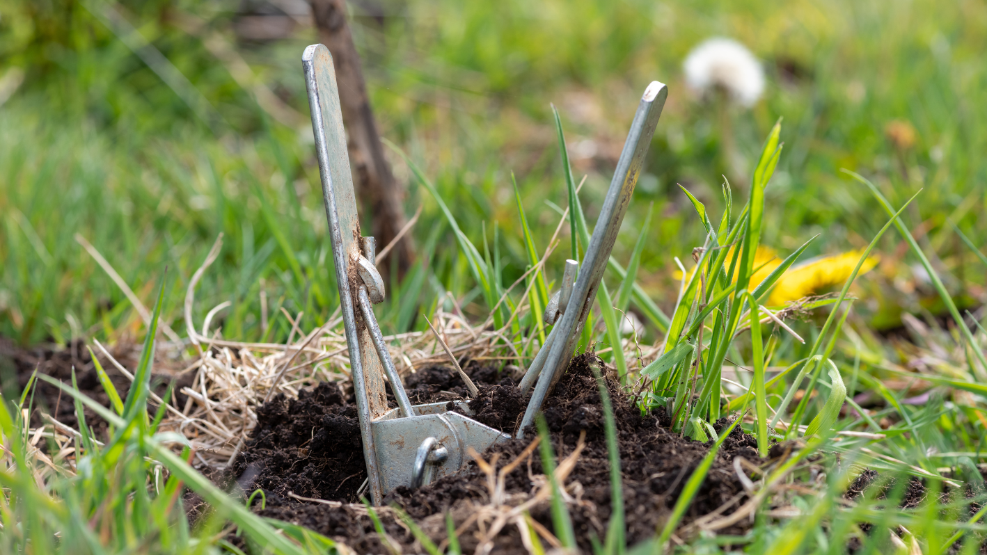 A couple of shovels that are in the dirt