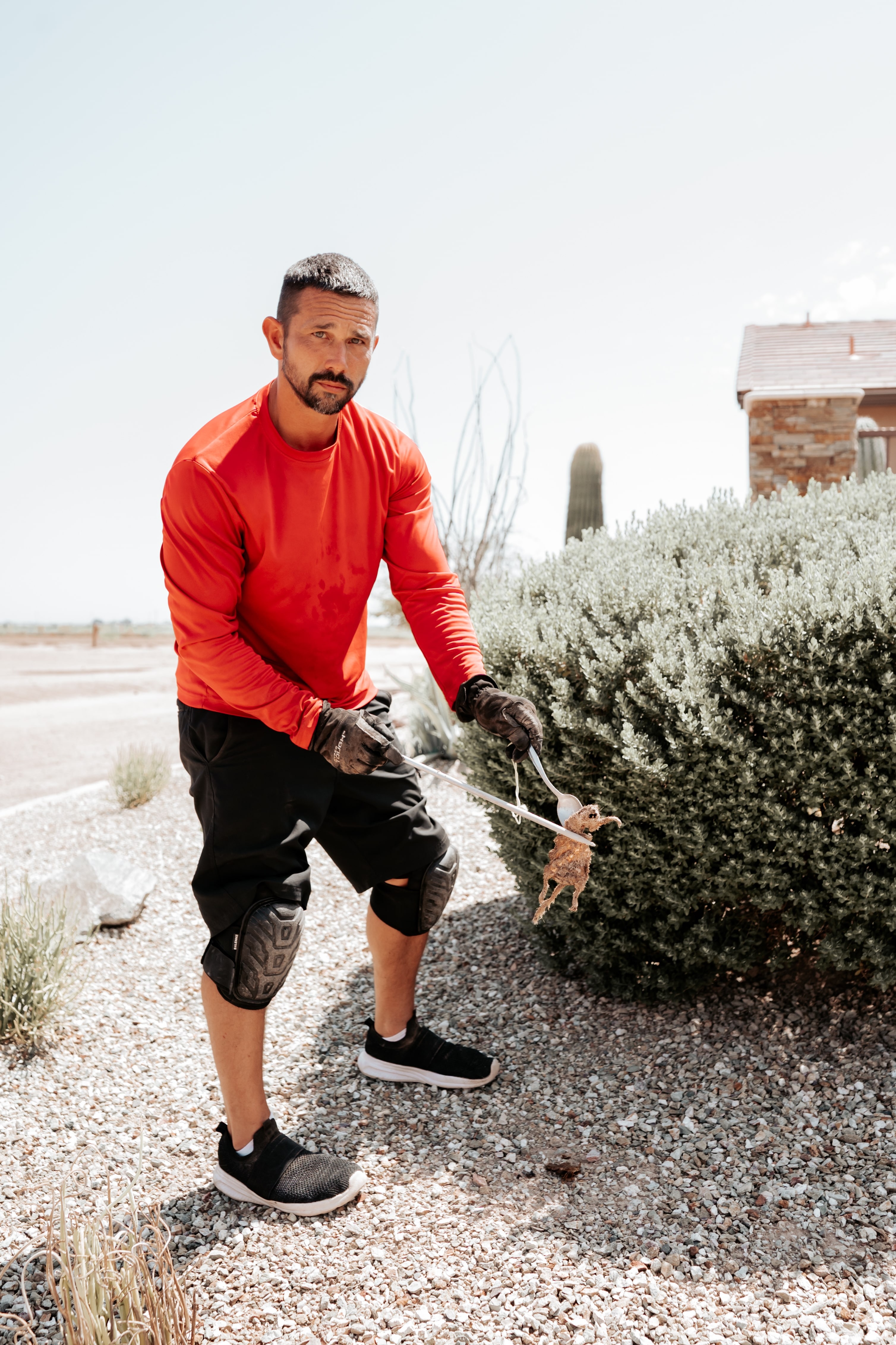 Man in red shirt walking small dog on gravel path near bushes